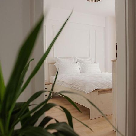 Modern Apartment In Timișoara Zewnętrze zdjęcie