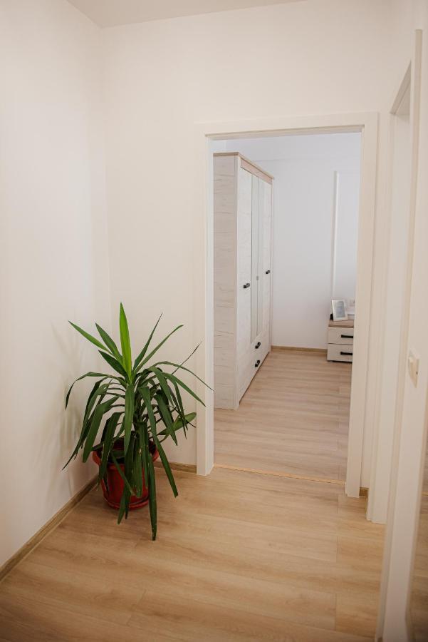 Modern Apartment In Timișoara Zewnętrze zdjęcie