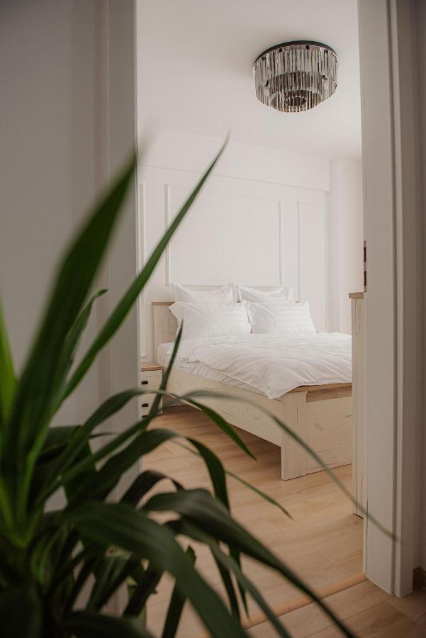 Modern Apartment In Timișoara Zewnętrze zdjęcie